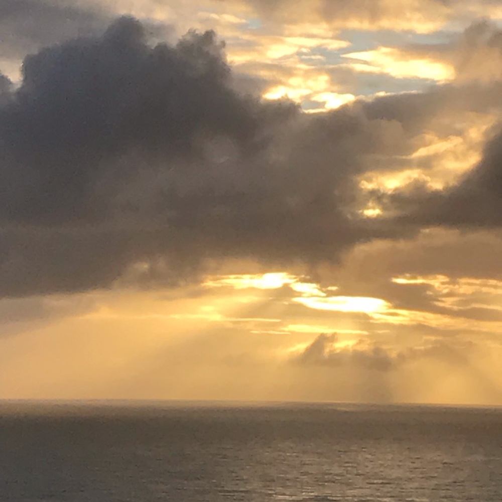 Check out my 10.00 specials!